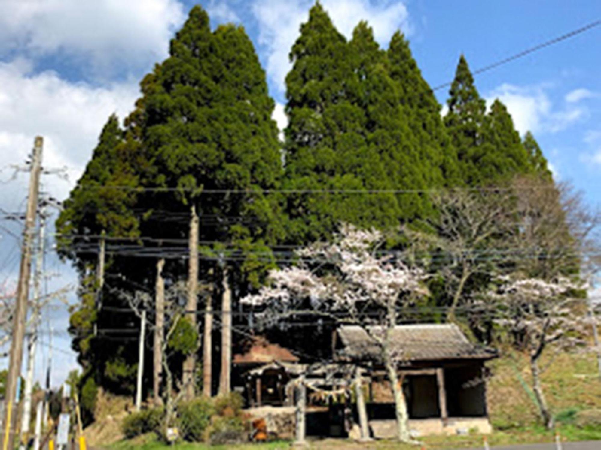 Guesthouse Kurihai Oita Bagian luar foto