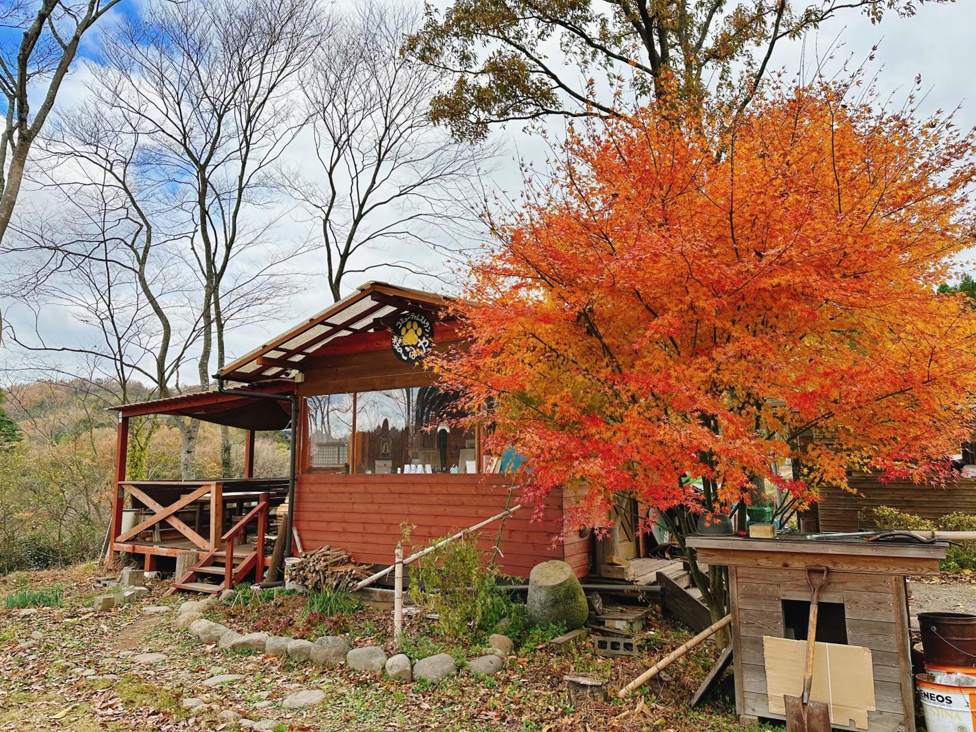 Guesthouse Kurihai Oita Bagian luar foto